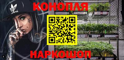 каннабис Кингисепп