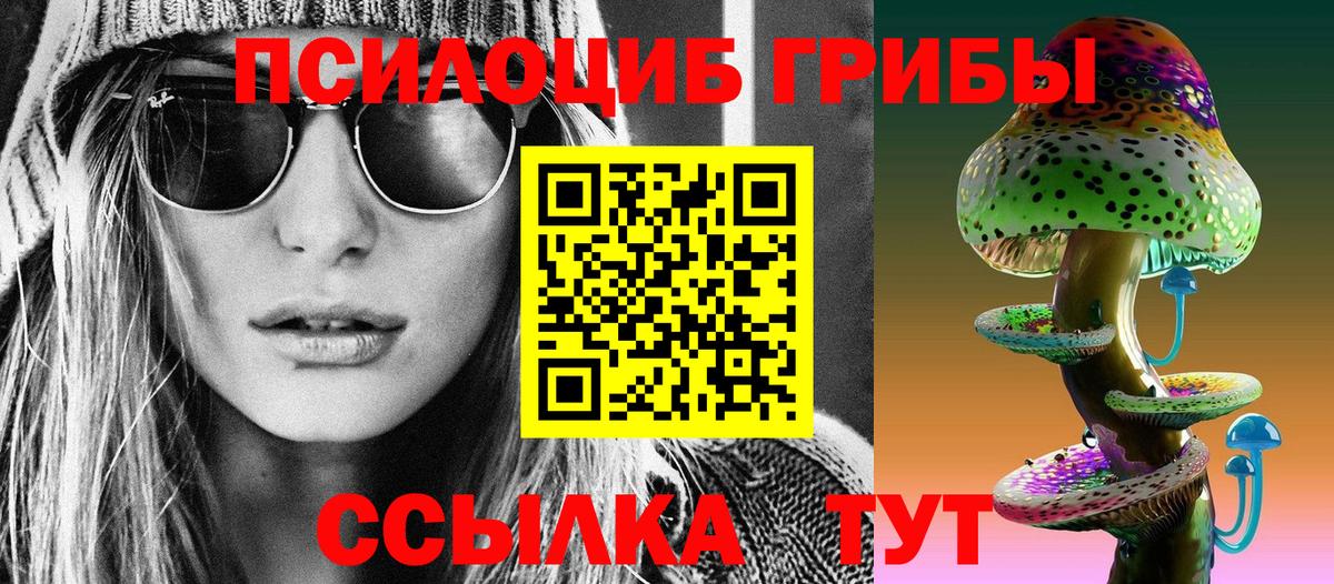 Галлюциногенные грибы Psilocybe  Вход с VPN  Аксай 